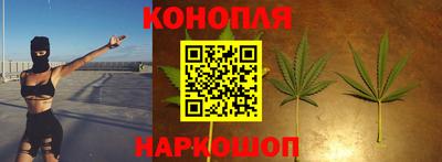 apvp Кингисепп