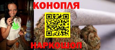 apvp Кингисепп