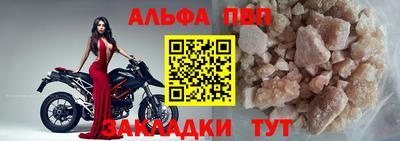 apvp Кингисепп