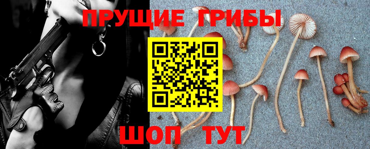 Псилоцибиновые грибы MAGIC MUSHROOMS Чита